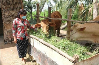 Giúp phụ nữ Khmer tự lực, tự chủ nâng cao chất lượng cuộc sống