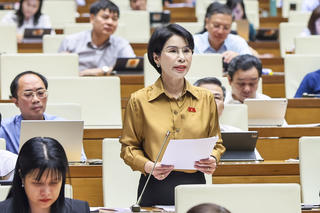 Còn sự chồng chéo trong công tác thanh tra và kiểm tra