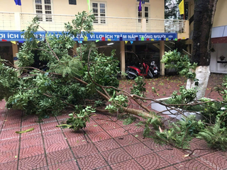 Hà Nội có 126 trường tạm dừng học trực tiếp do mưa lớn