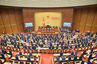 'Kê đơn, bốc thuốc'