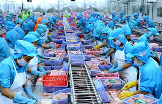Thận trọng và kỳ vọng