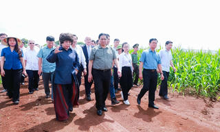 Doanh nghiệp cần quan tâm phát triển kinh tế xanh