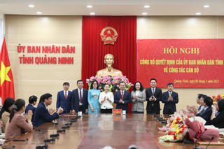 Quảng Ninh: Điều động và bổ nhiệm nhiều lãnh đạo sở, đơn vị sự nghiệp