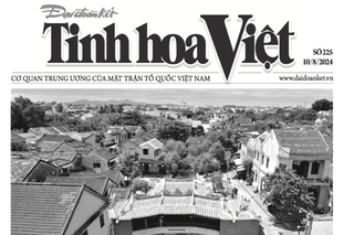 Tìm đọc Tinh hoa Việt số 225, phát hành ngày 10/8/2024