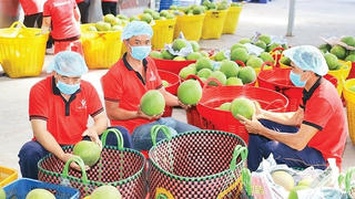 Đừng 'tự bắn vào chân mình'
