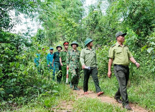 Kon Tum: Tại sao 400 nhân viên bảo vệ rừng nghỉ việc?