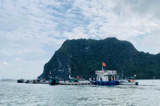 Buộc tháo dỡ toàn bộ lồng bè nuôi trồng thủy sản trái phép trên vịnh Hạ Long trước 3/2