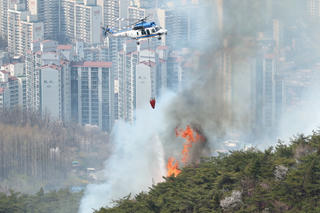 Hàn Quốc: Cháy rừng ở trung tâm Seoul, 120 gia đình phải sơ tán
