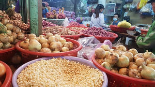 Giá rau xanh dần hạ nhiệt