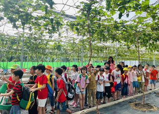 TP Hồ Chí Minh: Các điểm vui chơi đông đúc trong ngày đầu kỳ nghỉ Tết Dương lịch