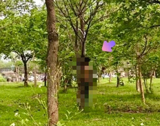 Hà Nội: Phát hiện thi thể người trong tư thế treo cổ tại vườn hoa gầm cầu Nhật Tân
