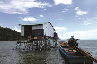 Nghề canh nghêu nơi biển Tây