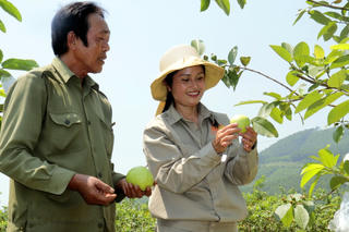Quảng Ninh: Tạo động lực thúc đẩy phát triển kinh tế - xã hội các xã vùng khó