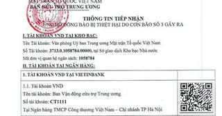Những trang sao kê và hàng triệu niềm yêu thương