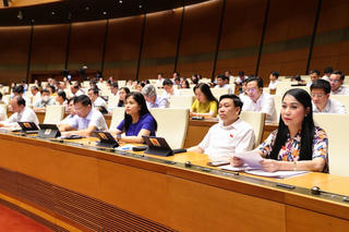 ĐBQH đề nghị bỏ 'Quỹ bảo vệ người được bảo hiểm'