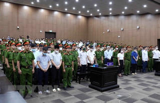Tuyên án vụ 'chuyến bay giải cứu': Chi tiết mức án của 54 bị cáo