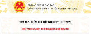 Tra cứu điểm thi tốt nghiệp THPT gặp lỗi, thí sinh làm theo các cách dưới đây