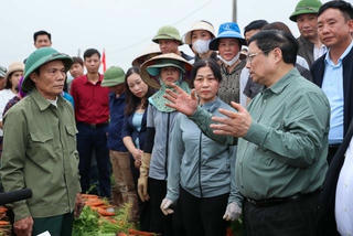 Thủ tướng Phạm Minh Chính xuống đồng cùng nông dân ở Hải Dương