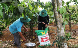 Cấp thiết đưa thuế GTGT phân bón về mức 5%