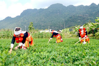 Dân vận khéo ở vùng đồng bào dân tộc thiểu số
