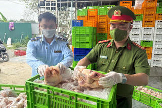 Phó Thủ tướng chỉ đạo tăng cường kiểm tra phòng ngừa ngộ độc thực phẩm