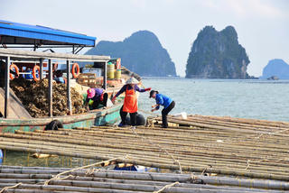 Trở lại ‘vùng biển trắng’