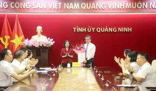 Quảng Ninh có tân Phó trưởng Ban Tổ chức Tỉnh ủy