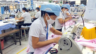 Ai chịu trách nhiệm?