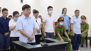 Vụ án nâng khống giá cây xanh: Chỉ đạo đặt hàng của công ty quen