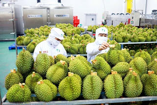 Xuất khẩu bứt phá