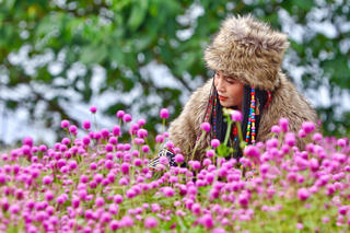 [ẢNH] Người Hà Nội mê mẩn với cánh đồng hoa bách nhật tím