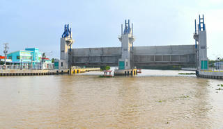 Khẩn trương ứng phó hạn mặn