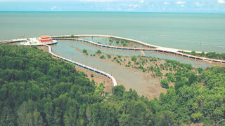 Về Đất Mũi