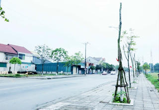 Hà Tĩnh đang tổng hợp báo cáo về Dự án trồng cây xanh theo yêu cầu của Bộ Công an