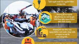 [Infographics] Kỹ năng ứng phó trong và sau cơn bão
