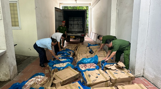 Hà Nội: Phát hiện 1,2 tấn cánh gà có dấu hiệu nhập lậu