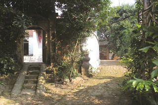 Hàng rào quê