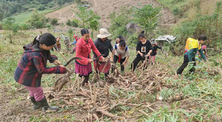 Xuân ấm miền biên viễn