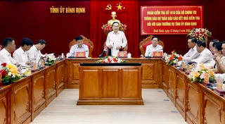Chủ tịch Quốc hội làm việc với Ban Thường vụ Tỉnh ủy Bình Định