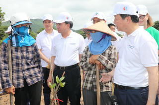 Quảng Ninh: Trồng rừng ngập mặn, thả cá hưởng ứng ngày môi trường