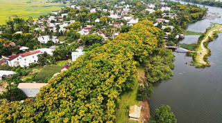 Du lịch xanh ở Quảng Nam