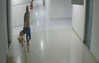 Lâm Đồng: Khởi tố người cha hành hạ dã man con trai ruột của mình