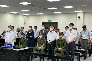 Các bị cáo trong vụ gây thất thoát 165 tỷ đồng tại VEAM hầu toà