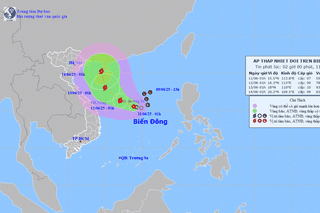 Sáng 11/6, áp thấp nhiệt đới giật cấp 9 cách biển Đông 240km
