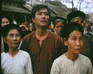 ‘Cây bạch đàn vô danh’ và câu chuyện hậu trường xúc động