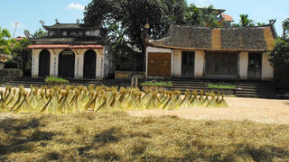 Ký ức rơm vàng