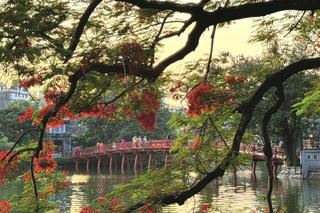 Hoa đỏ cuối mùa