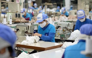 Tín hiệu phục hồi của doanh nghiệp dệt may
