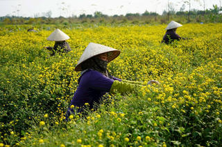 Hải Phòng: Đồng bộ các giải pháp giảm nghèo bền vững