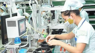Sợ sai nên không dám làm?